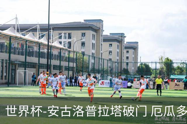 世界杯-安古洛普拉塔破门 厄瓜多尔2-1逆转德国出线
