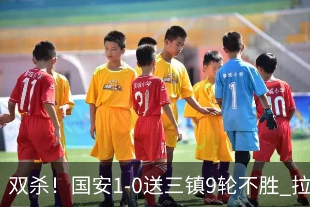 双杀！国安1-0送三镇9轮不胜 拉莫斯头槌制胜张稀哲疑似重伤伤退